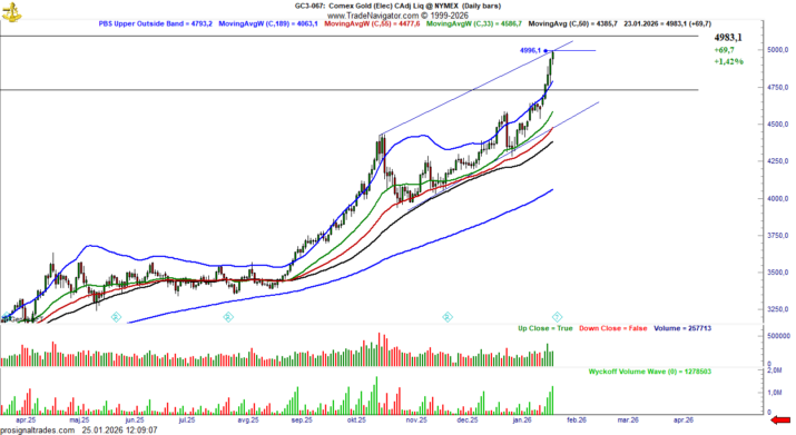Gold daily chart